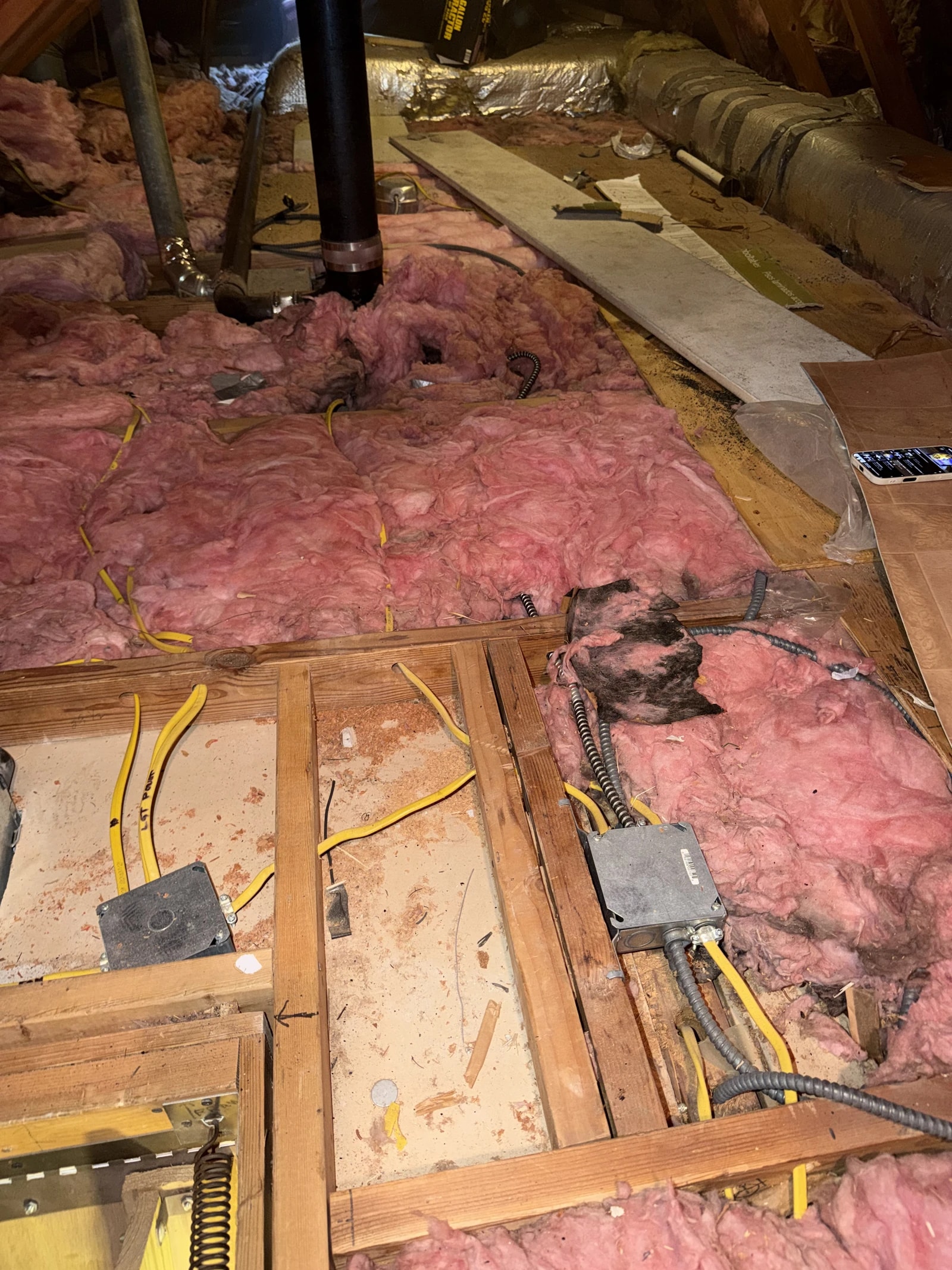 Animal-soiled insulation pulled out during an attic cleanout