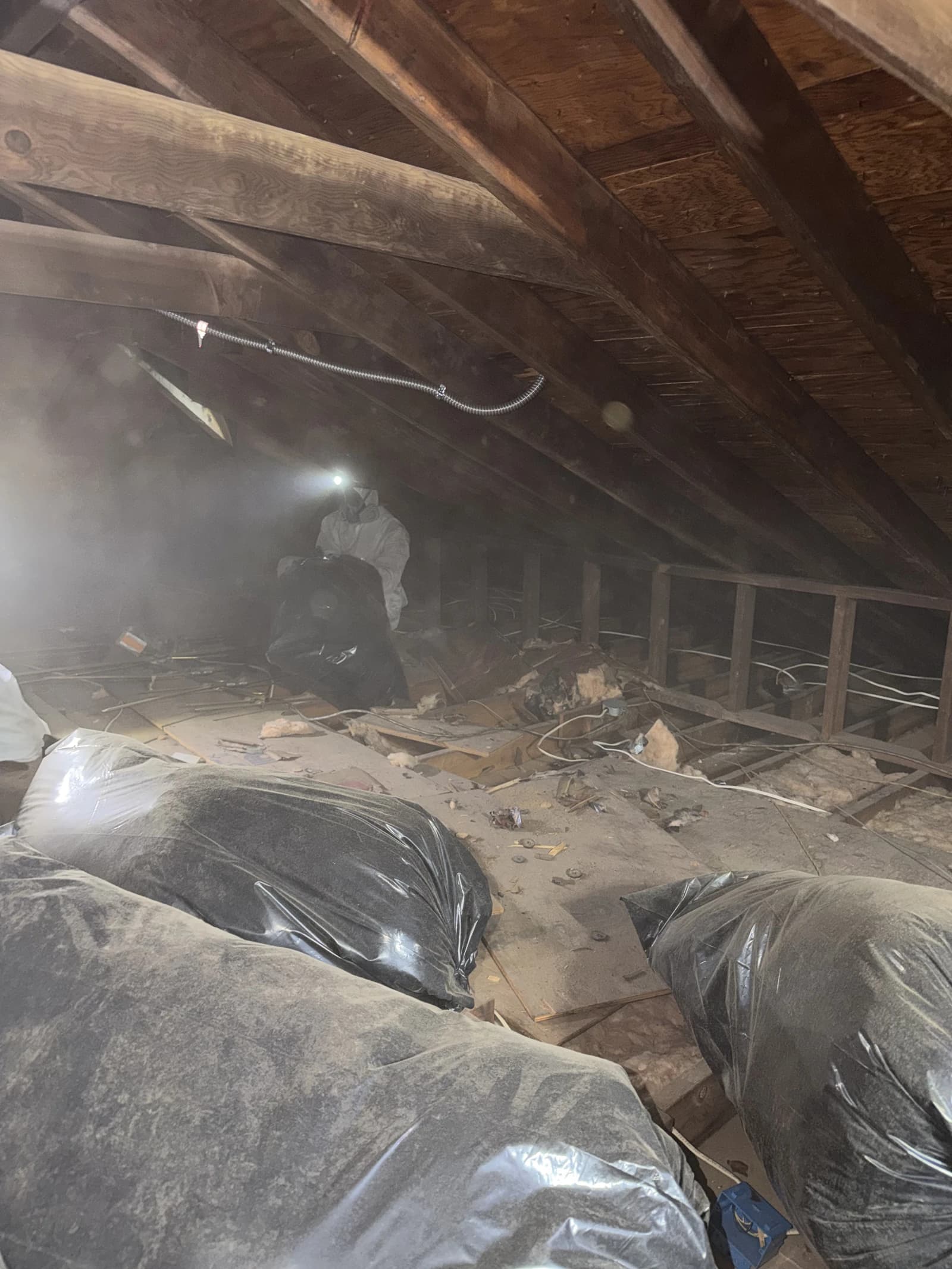 Attic cleanout