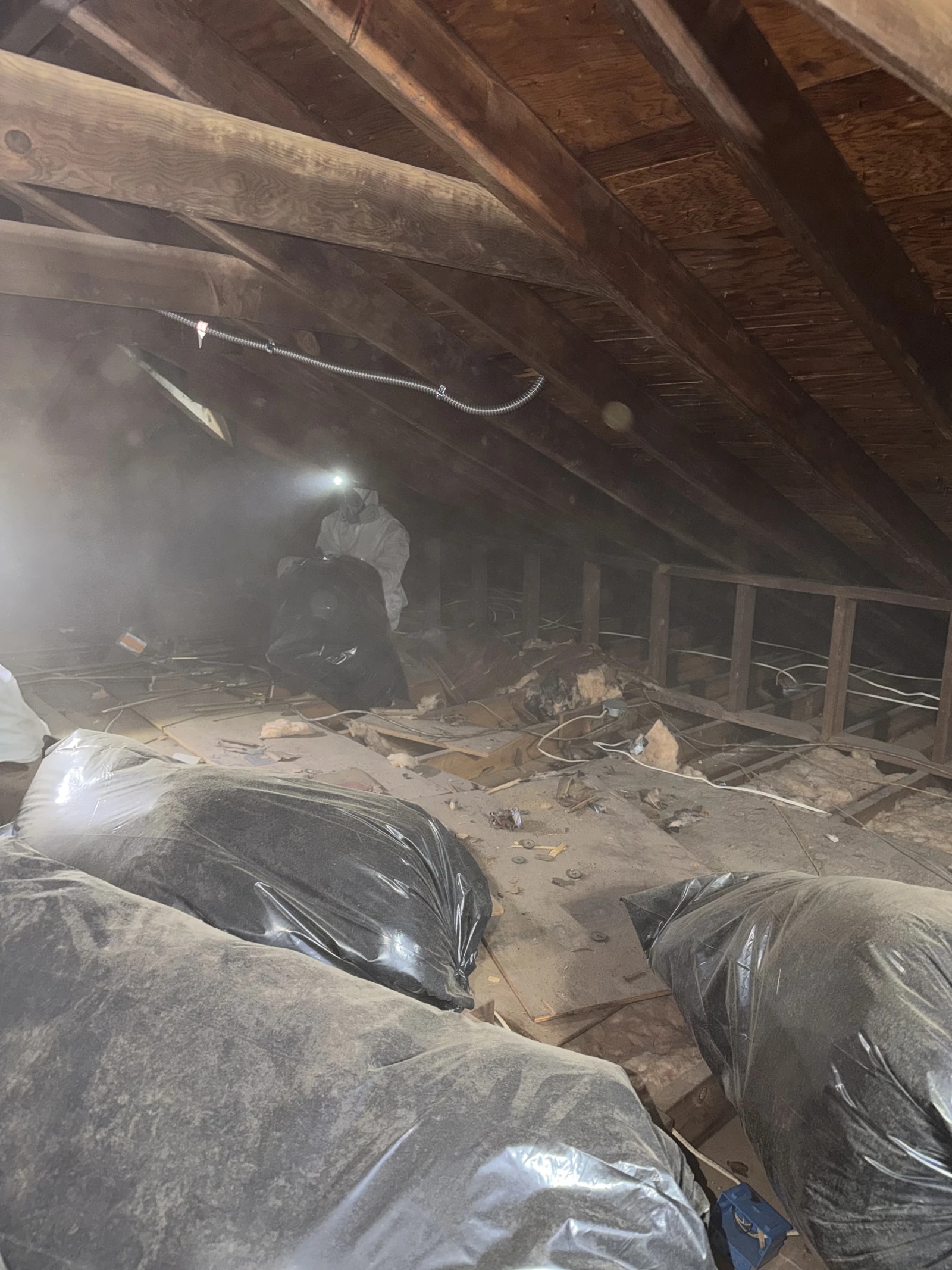 Bagged contaminated insulation during an Attic Fanatics attic cleanout