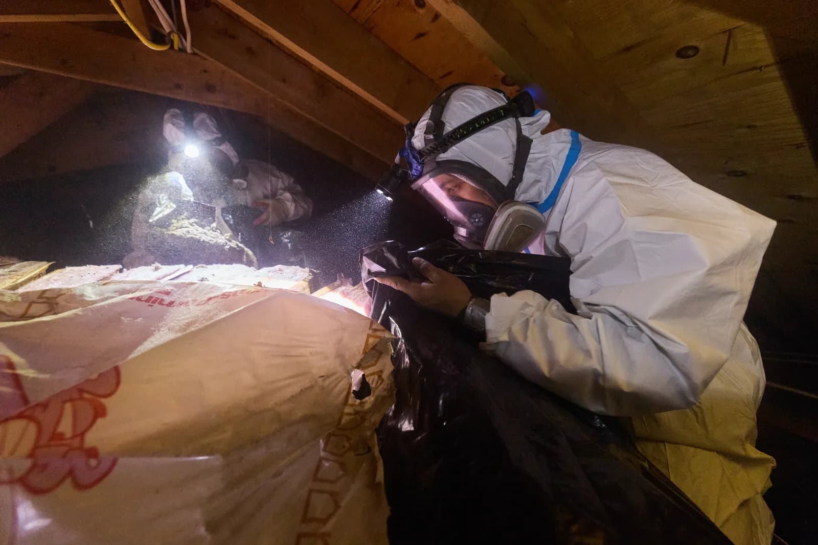 Rodent proofing and exclusion service