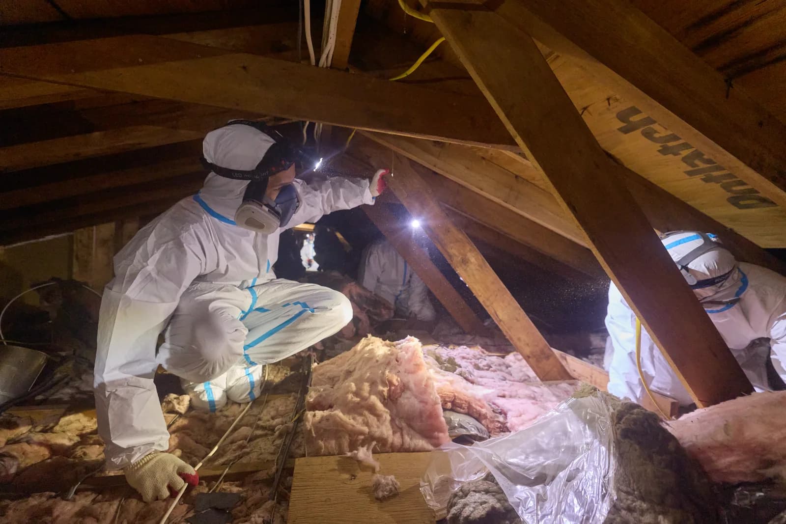 How Much Does Animal Removal Cost in NJ? (What Affects the Price)