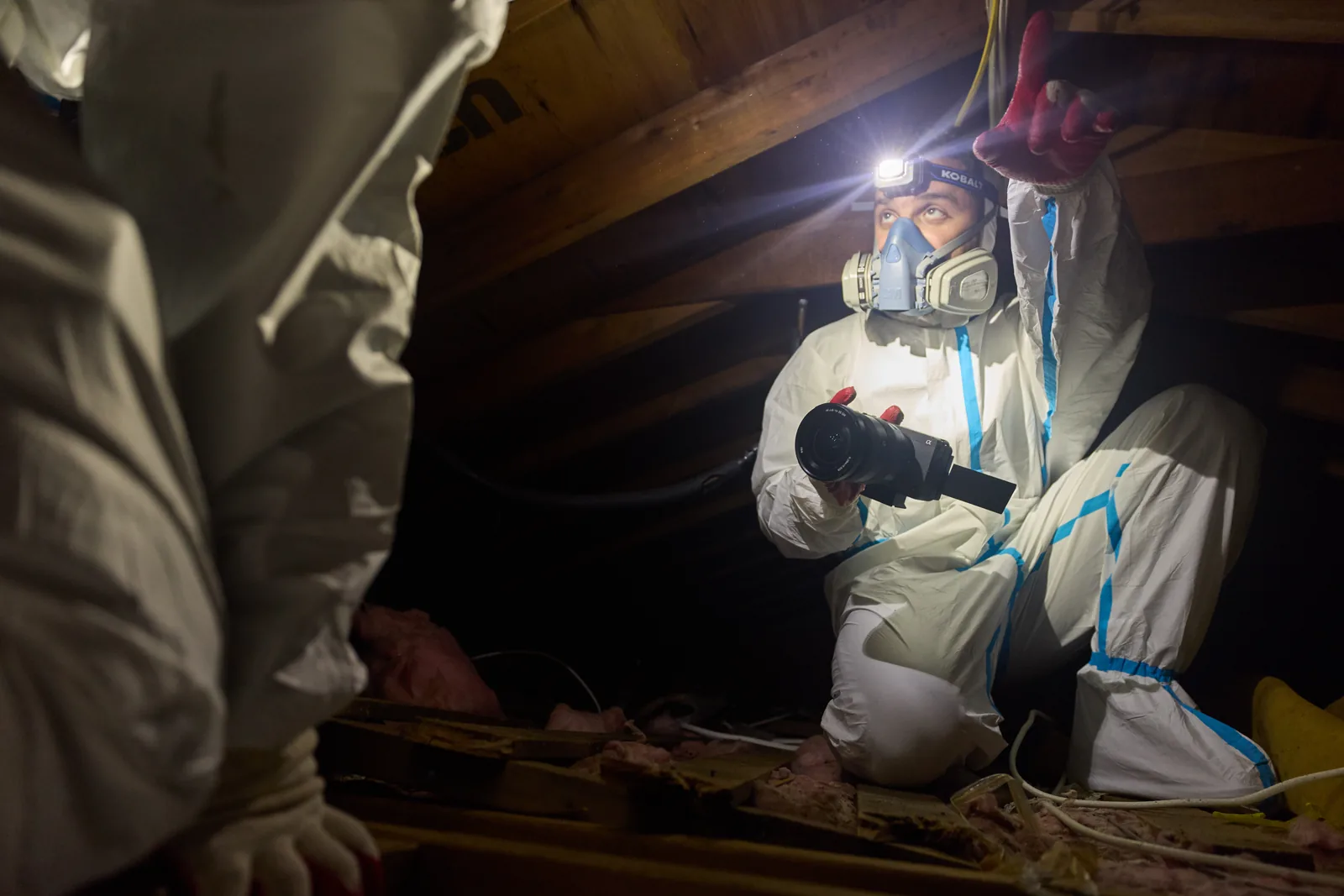 Attic Fanatics crew inspecting a soffit for bird entry points