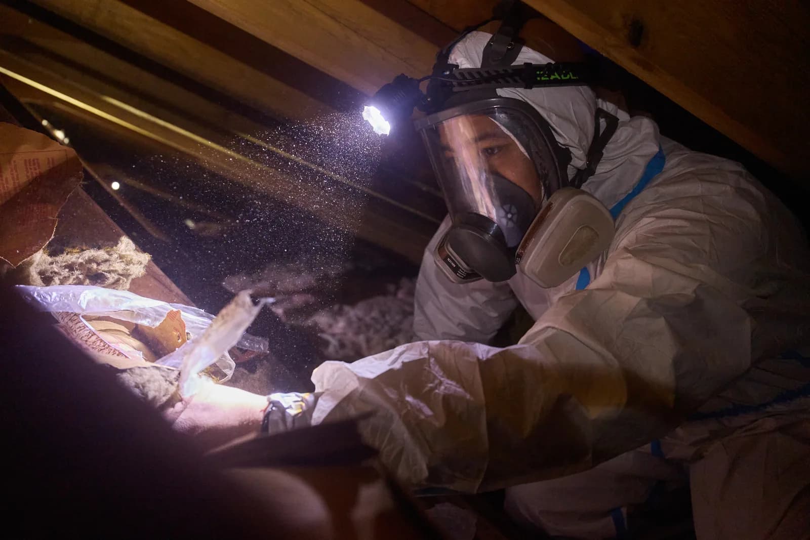 Do Ultrasonic Repellers Actually Work? A Wildlife Pro's Honest Answer