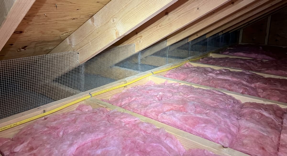 Attic condition documented after squirrel exclusion and cleanup